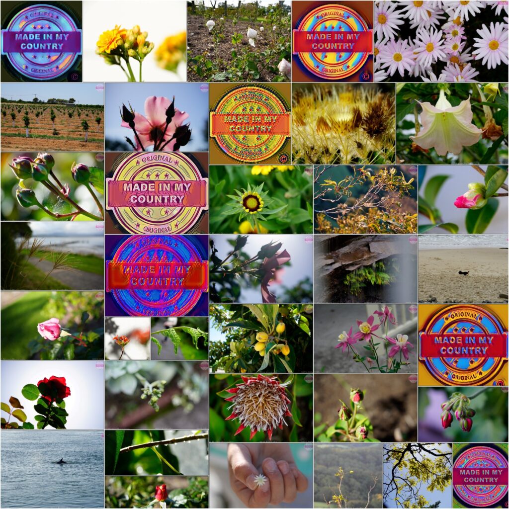 Made in Oceania!  MadeinMycountry is a global platform that celebrates and supports local history, culture, art and nature conservation efforts. For two decades, we have been sponsoring local museums, cultural organizations, travel destinations, historical sites and various cultural events around the world.